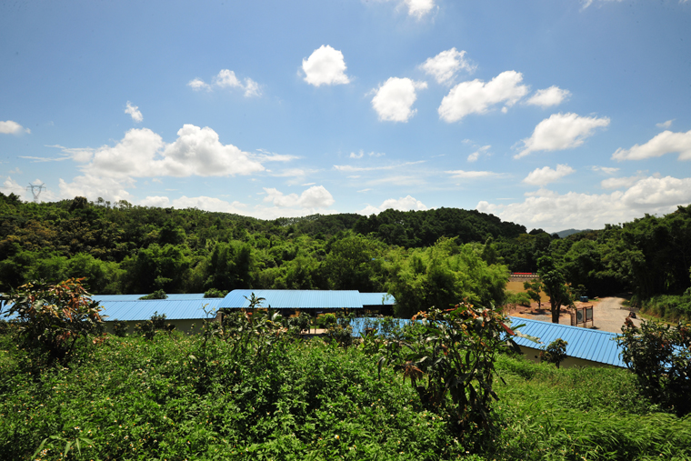 ���������ֺ���������ɭ�ֹ�԰�ֺ���԰����һƳ