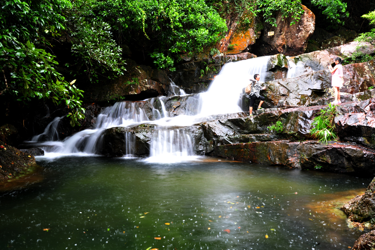 ���������ֺ���������ɭ�ֹ�԰��կ����������̶�ٲ�