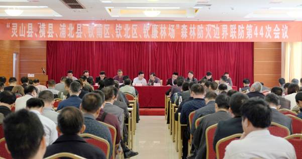 ͼΪ��������һ��ɭ�ַ���߽�������44�λ���᳡